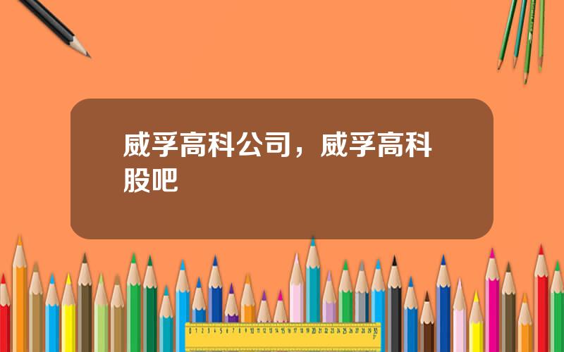 威孚高科公司，威孚高科 股吧